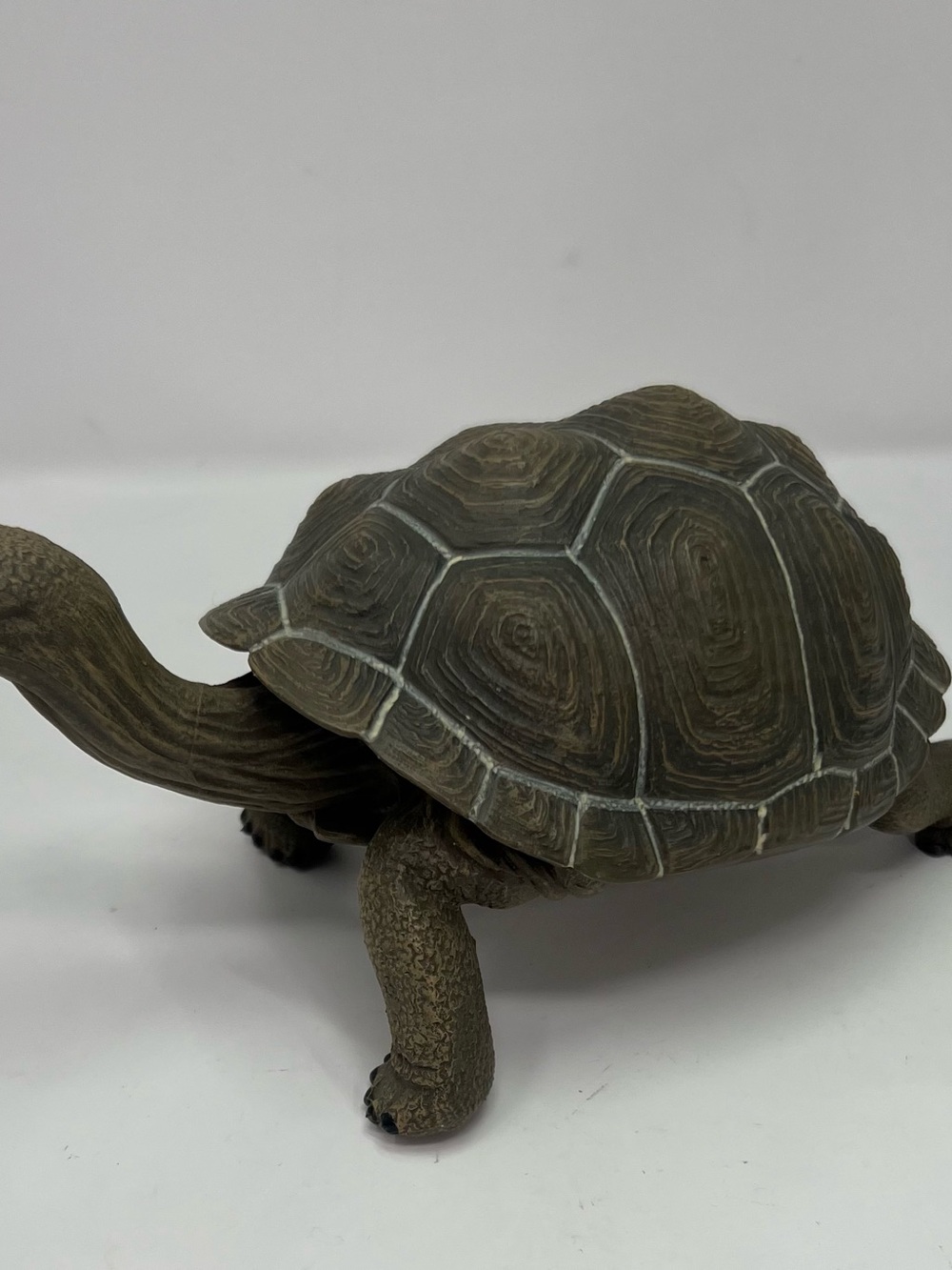 Safari Ltd 2005 Galapagos Adult Tortoise 9” Incredible Creatures Figure #1019